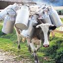 León Darío Peláez/SEMANA