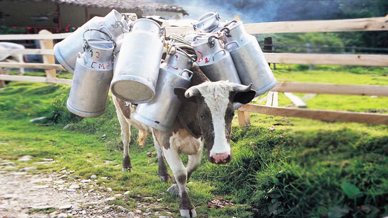 León Darío Peláez/SEMANA