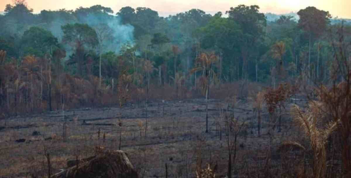 Los incendios en la Amazonia de Brasil batieron récord en junio.  Foto: Getty Images