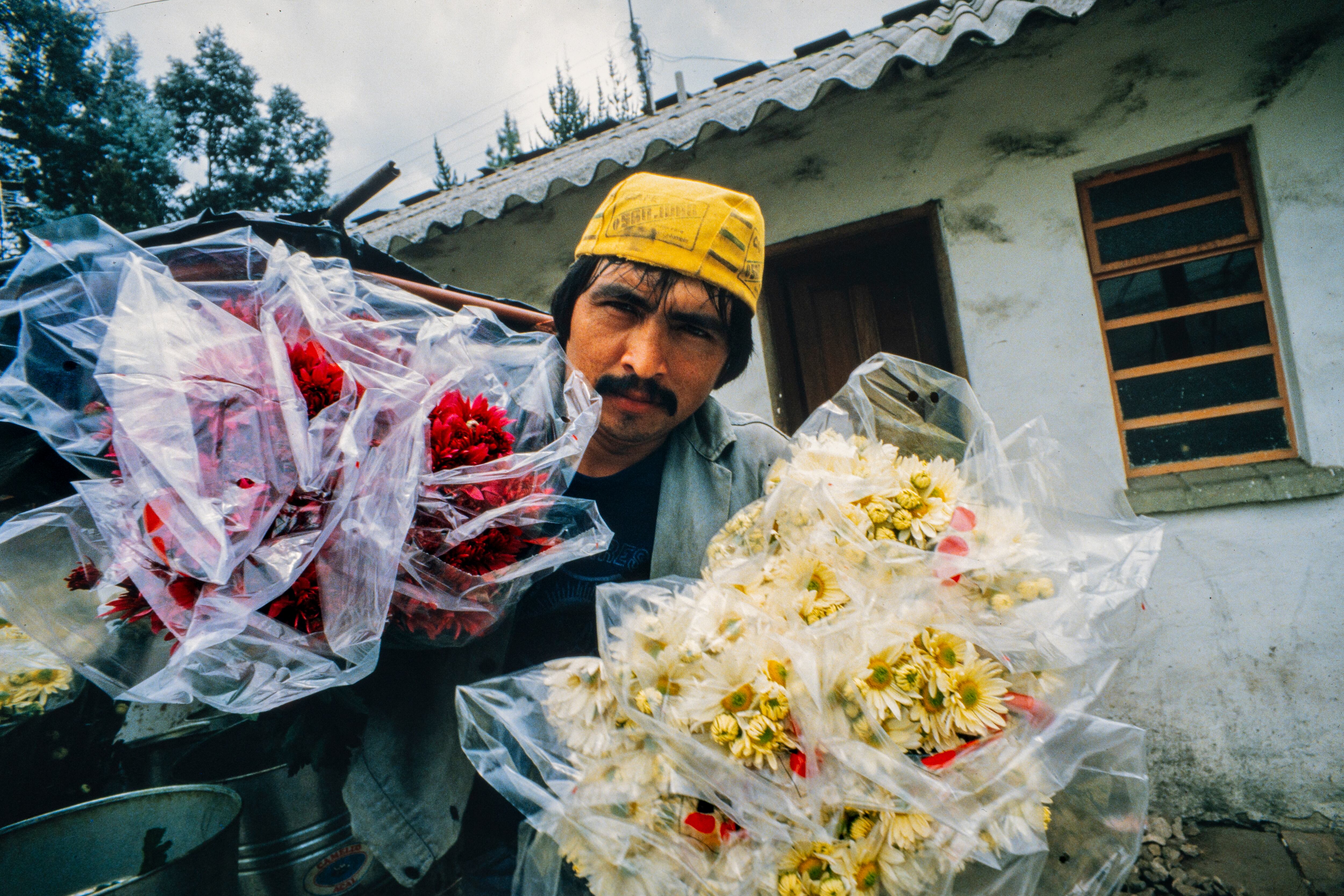 'Amor, mujeres y flores'  de Marta Rodríguez y Jorge Silva, estrena su hermosa y vigente versión restaurada en cines este 8 de mayo.