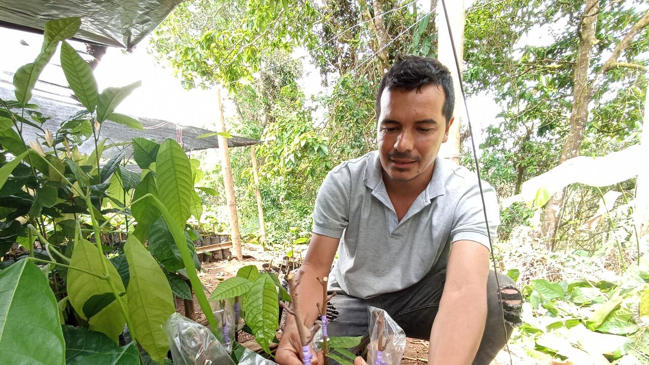 Los municipios del oriente de Caldas buscan reactivación económica