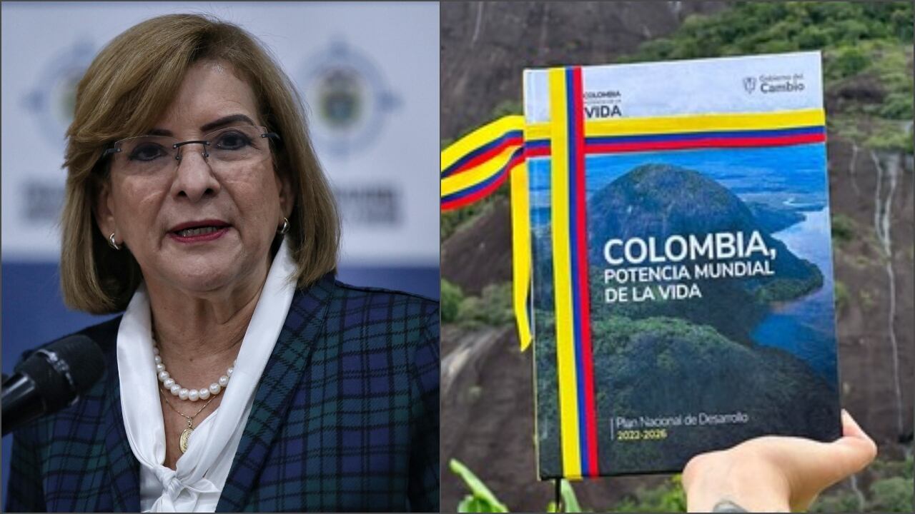 Procuradora Margarita Cabello advierte sobre norma del PND: "Es inconstitucional", asegura