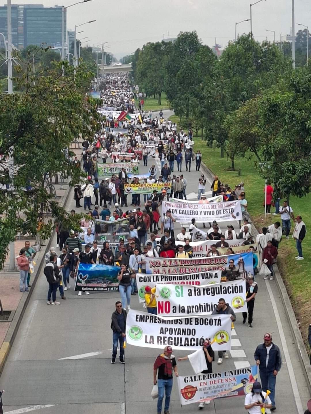 La jornada se adelantó el 8 de octubre en Bogotá.