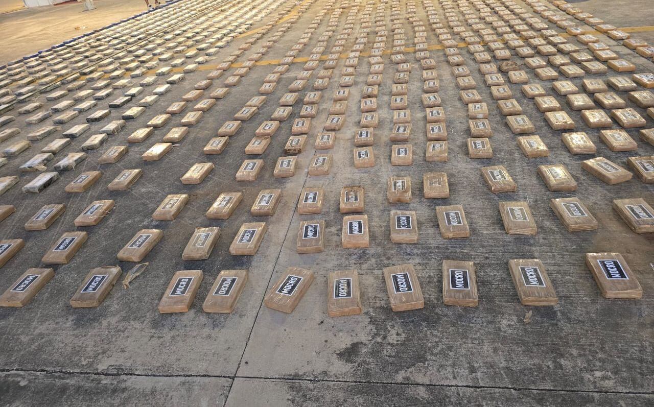 Según la Policía, la cocaína estaba escondida bajo tierra.