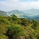 El Parque Ecológico La Poma es considerado el mayor bosque periurbano de Colombia.