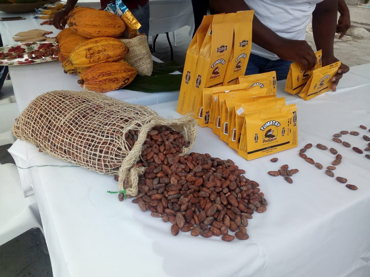 La Asociación Porvenir Campesina trabaja en la tecnificación del proceso de cacao con el objetivo de comercializar más adelante chocolatería fina.