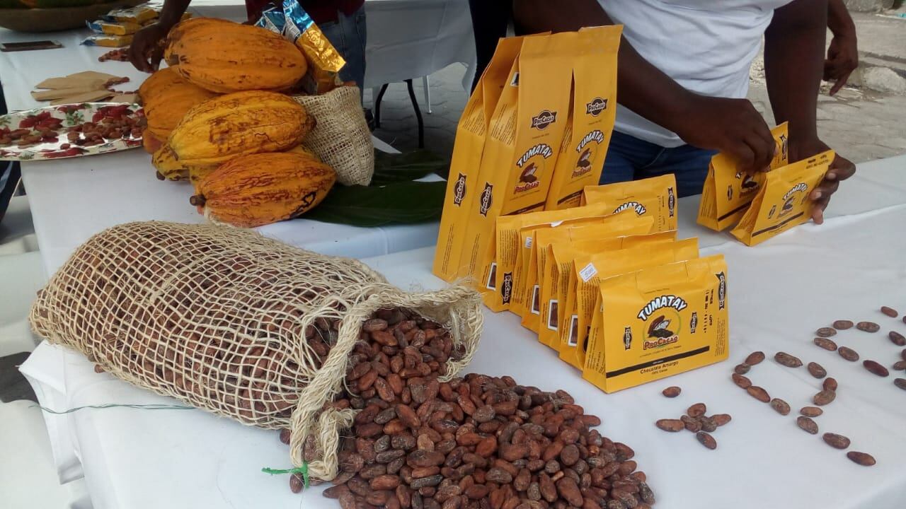 La Asociación Porvenir Campesina trabaja en la tecnificación del proceso de cacao con el objetivo de comercializar más adelante chocolatería fina.