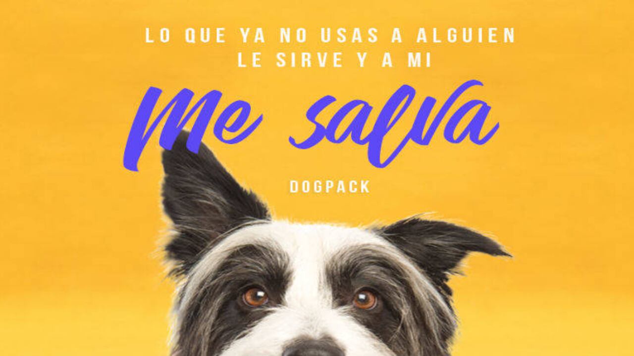 Cortesía de Dog Pack