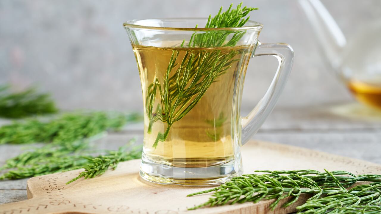 Esta planta, famosa por sus propiedades diuréticas, promueve el flujo sanguíneo gracias a su capacidad para disminuir la inflamación y eliminar los líquidos retenidos.