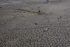 La escasez de lluvias debido al calentamiento global ha obligado al Canal de Panamá para reducir el calado de los barcos que transitan por la vía interoceánica. El lago Alhajuela, en la provincia de Colón, es uno de los principales lagos que abastece de agua a las esclusas del Canal.