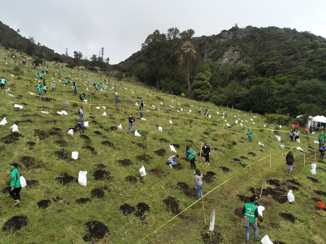 Siembra árboles Ciudad Bolívar
