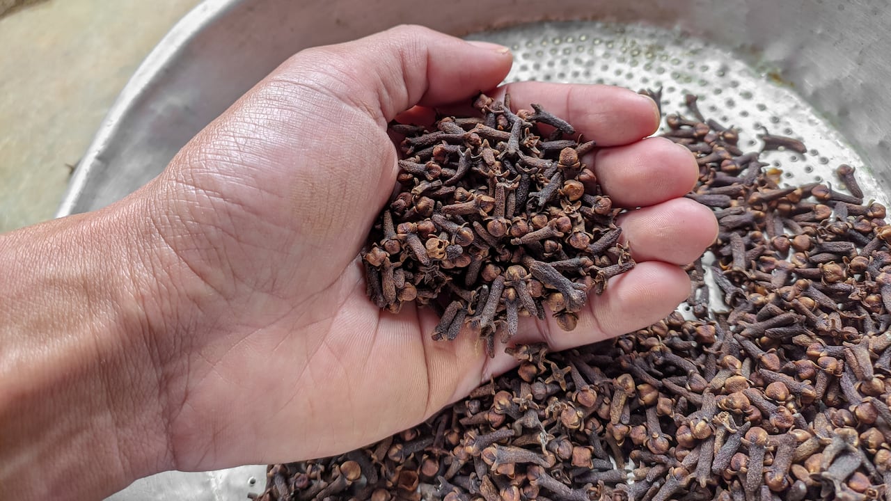 La misteriosa conexión entre el clavo de olor y la billetera ha llevado a especulaciones sobre su eficacia como amuleto protector contra la pérdida de dinero y el robo.