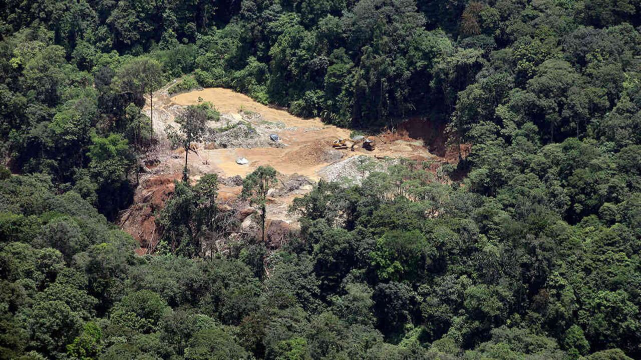 El 47% de las alertas tempranas por deforestación registradas durante el segundo trimestre de este año corresponden al Pacífico, colombiano. Foto ilustración: archivo/Semana.com