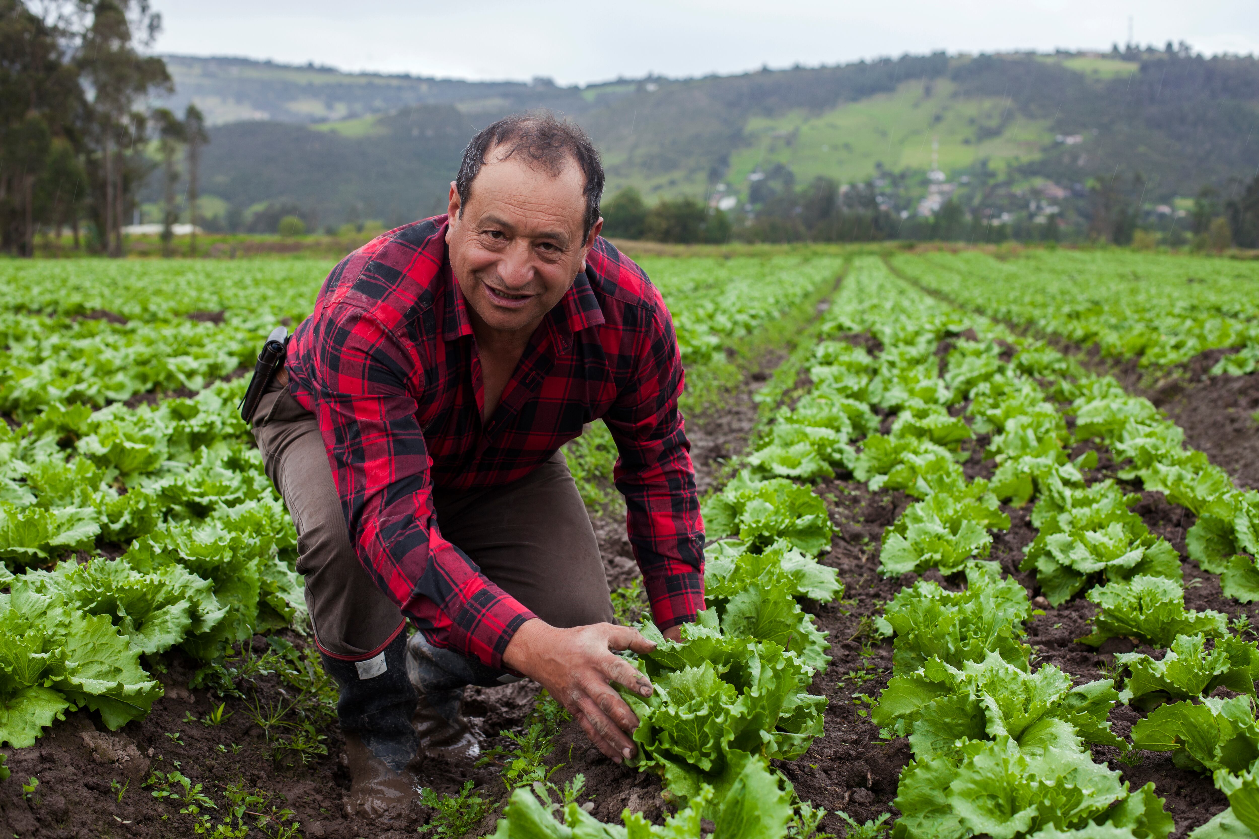 Se debe avanzar con la política de formalización de la propiedad y continuar con los esfuerzos para promover la inversión en riego.