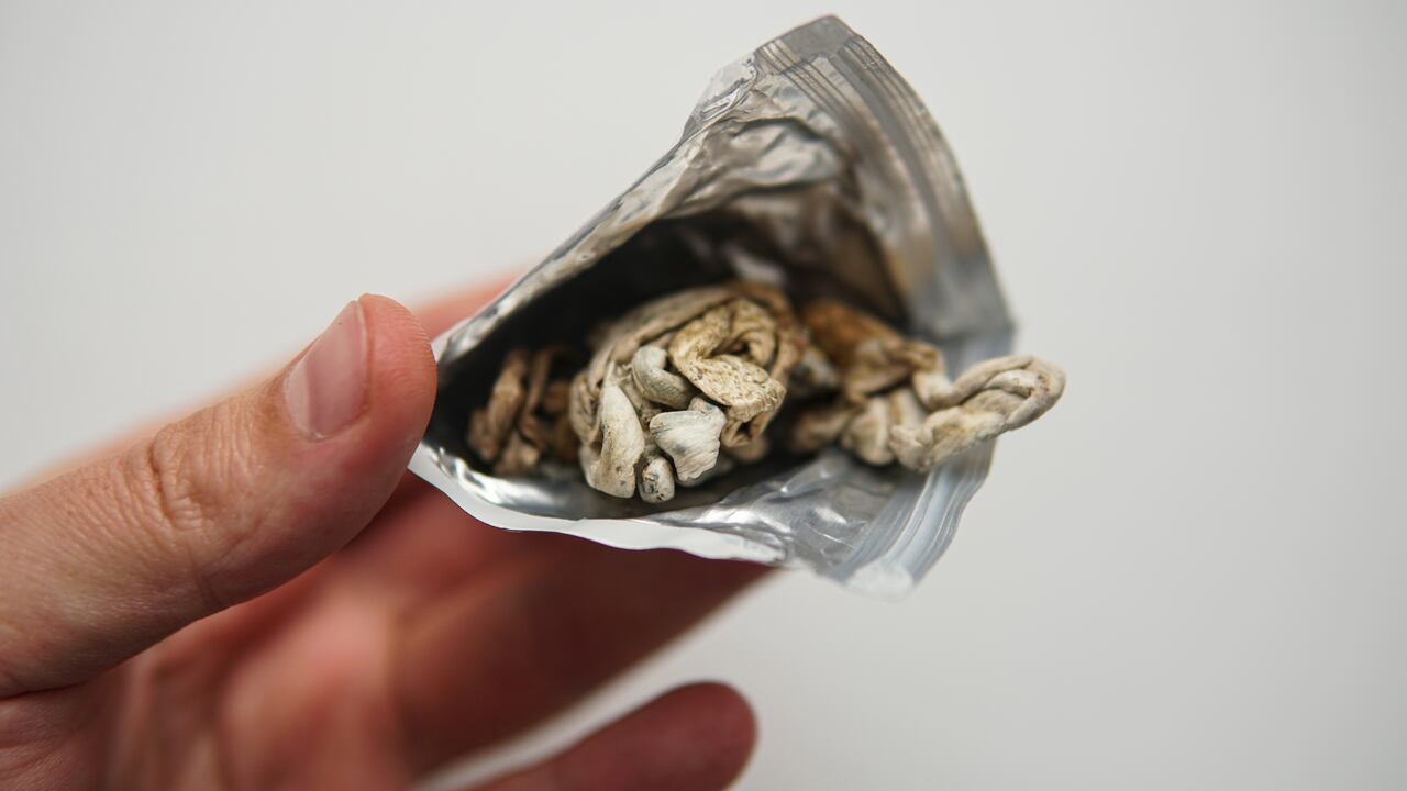 Huitlacoche: el manjar de los dioses (foto de referencia)