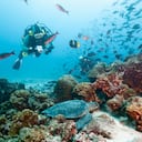 Galapagos Islands.