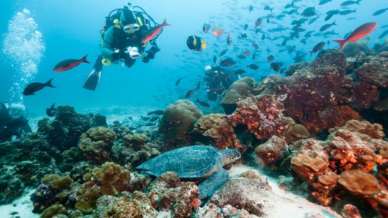 Las Islas Galápagos en Ecuador son consideradas uno de los mejores destinos para visitar en 2027.