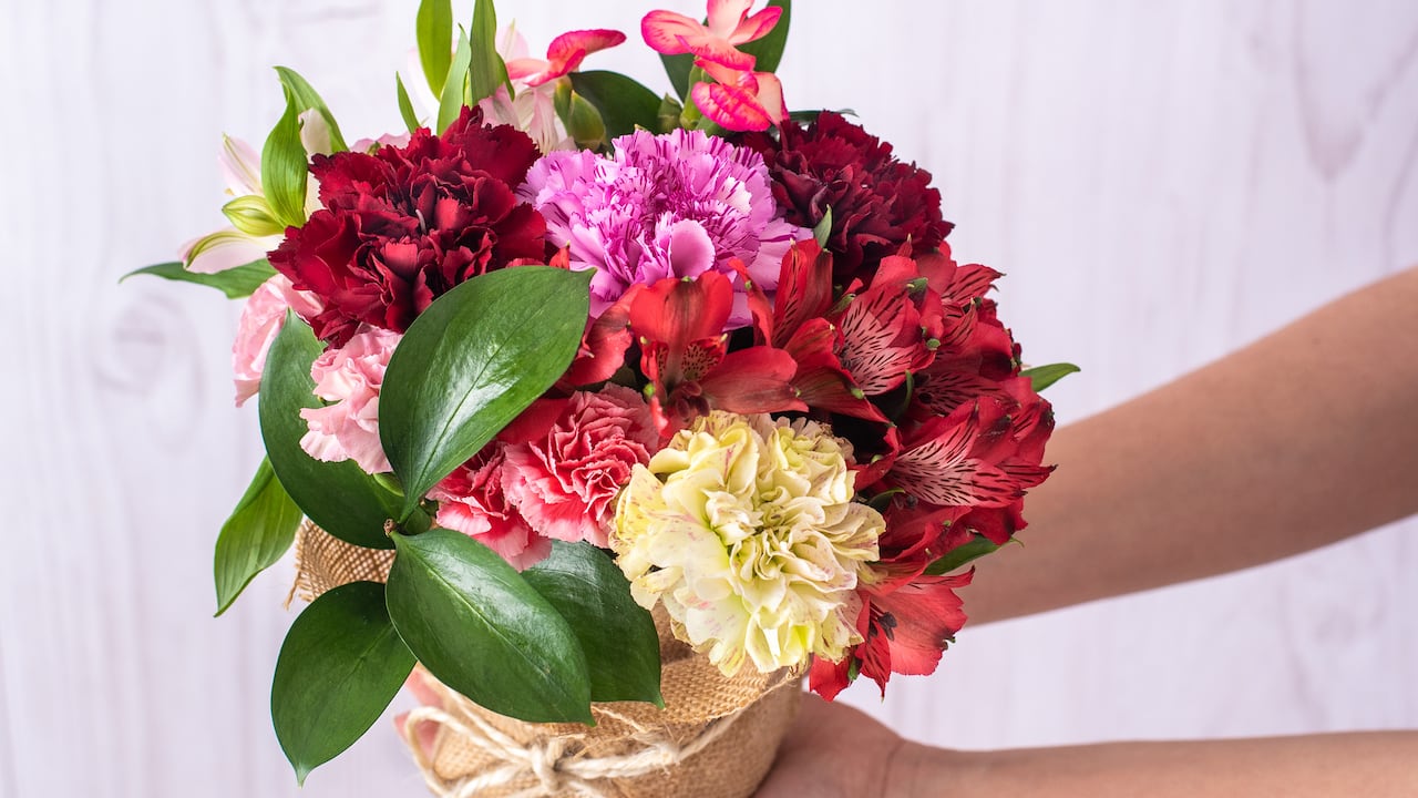 Colombia exporta cerca de 650 millones de tallos de flores cada año, el 15% de la producción anual se exporta para San Valentín.