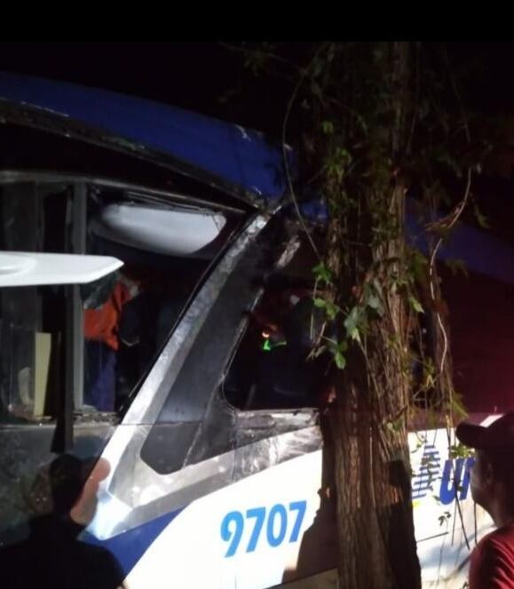 El bus terminó contra el tronco de un árbol al costado de la vía