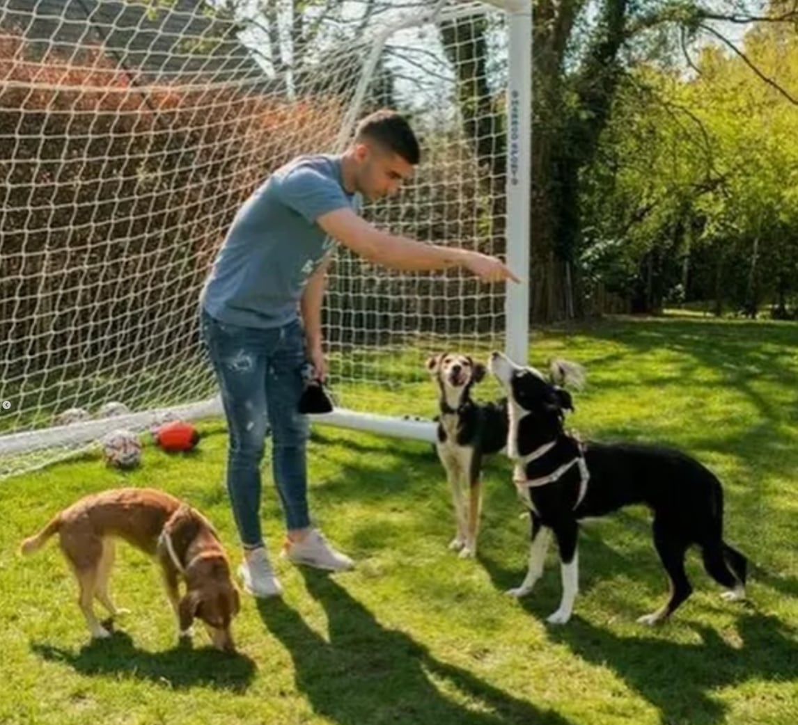 Ferran Torres, goleador de España en el Mundial, dedica parte de su vida a rescatar perros.