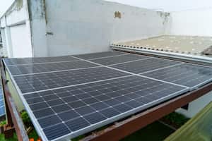 Uno de los ejemplares de los paneles solares