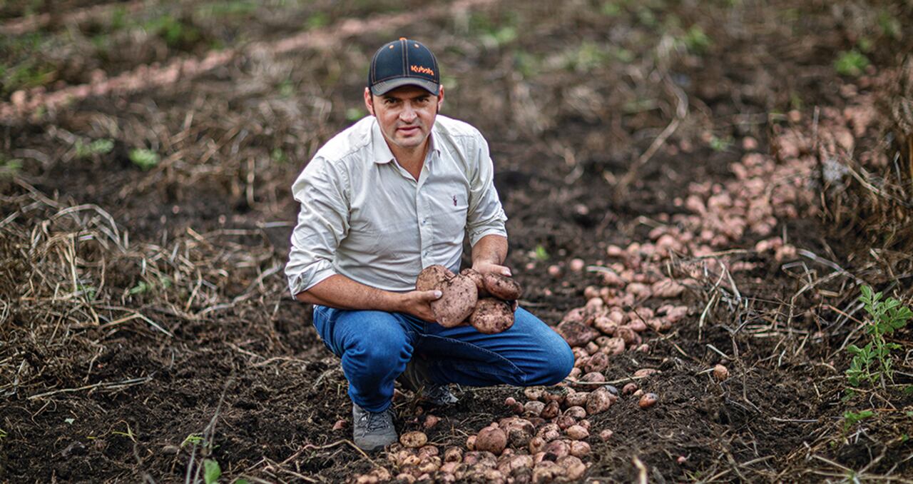 Ernesto Gómez, papicultor de La Calera, Cundinamarca, dice que lamentablemente en su negocio se requiere que algunos se quiebren para que otros puedan ganar.