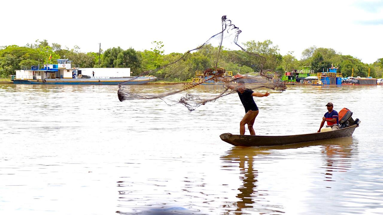 En Puerto Gaitán, Meta, se realiza el Festival y Reinado Internacional de la Cachama, uno de los eventos culturales más reconocidos de la región.