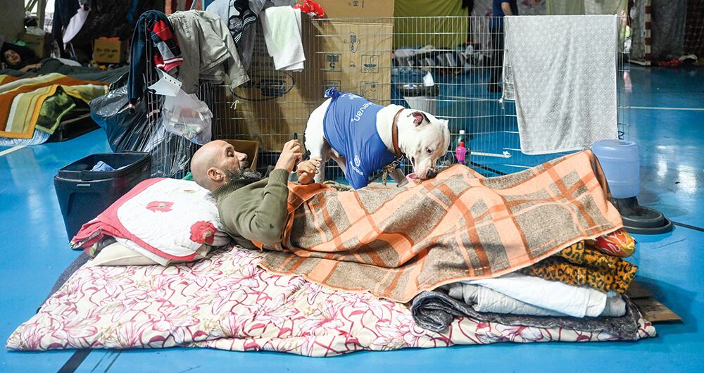Los animales, víctimas de las fuertes inundaciones. 