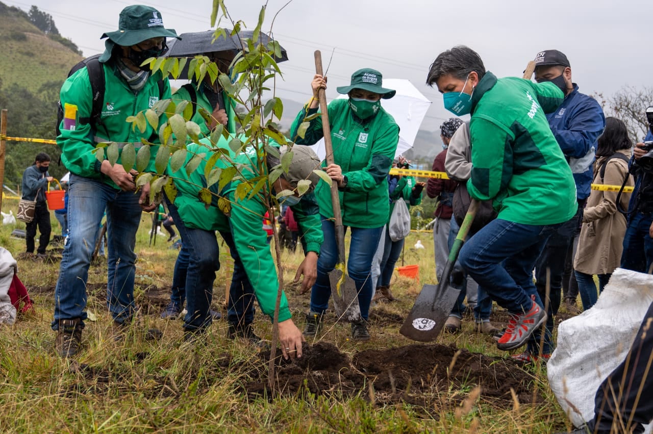 Siembra árboles Ciudad Bolívar