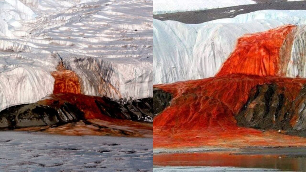 Las cataratas de sangre están ubicadas en el continente de la Antártida.