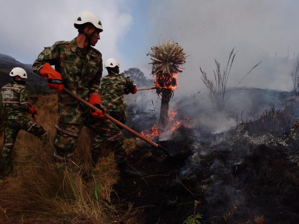 Incendio forestal en Tota