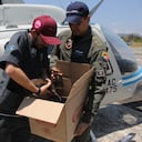 La nutria fue rescatada en el departamento de Arauca.