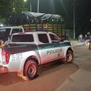 La Policía capturó a varias personas implicadas en estos hechos.