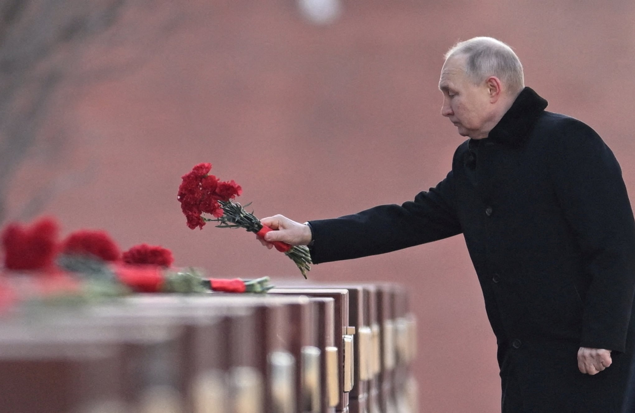 Fotos de la semana 24 feb