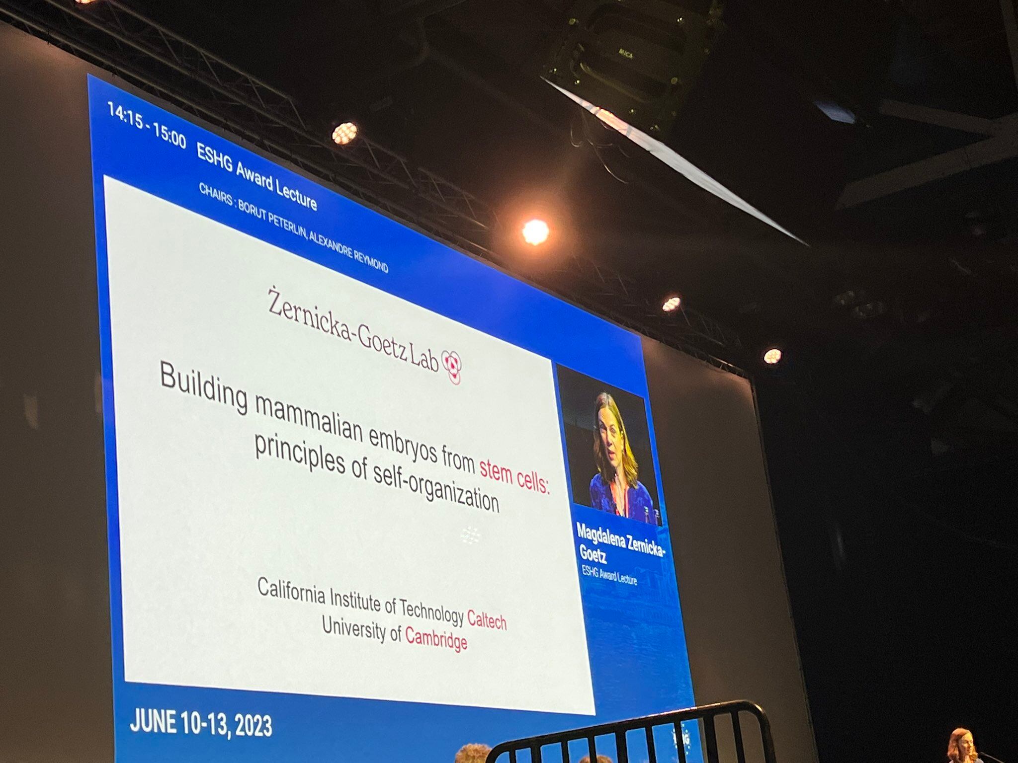 La exposición de la investigación tuvo lugar durante la reunión anual de la Sociedad Internacional para la Investigación de Células Madre.