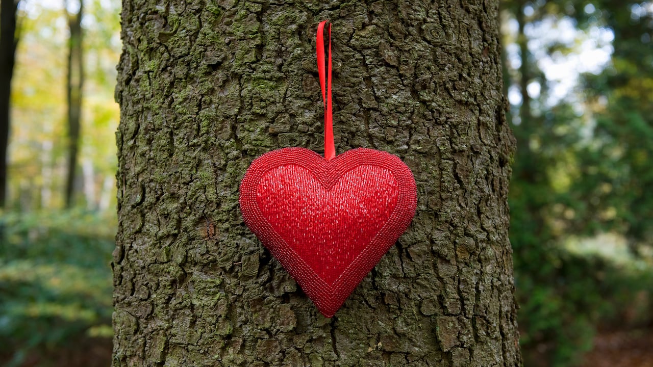 decorative red heart hanging on tree trunk in autumn woodland