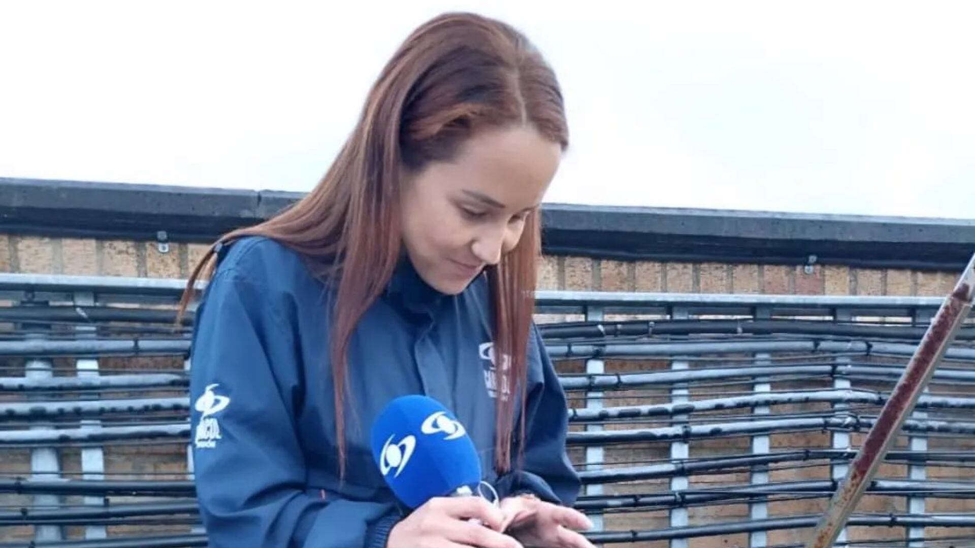 Érika Zapata se ha ganado el cariño de los televidentes por su original forma de narrar las noticias.