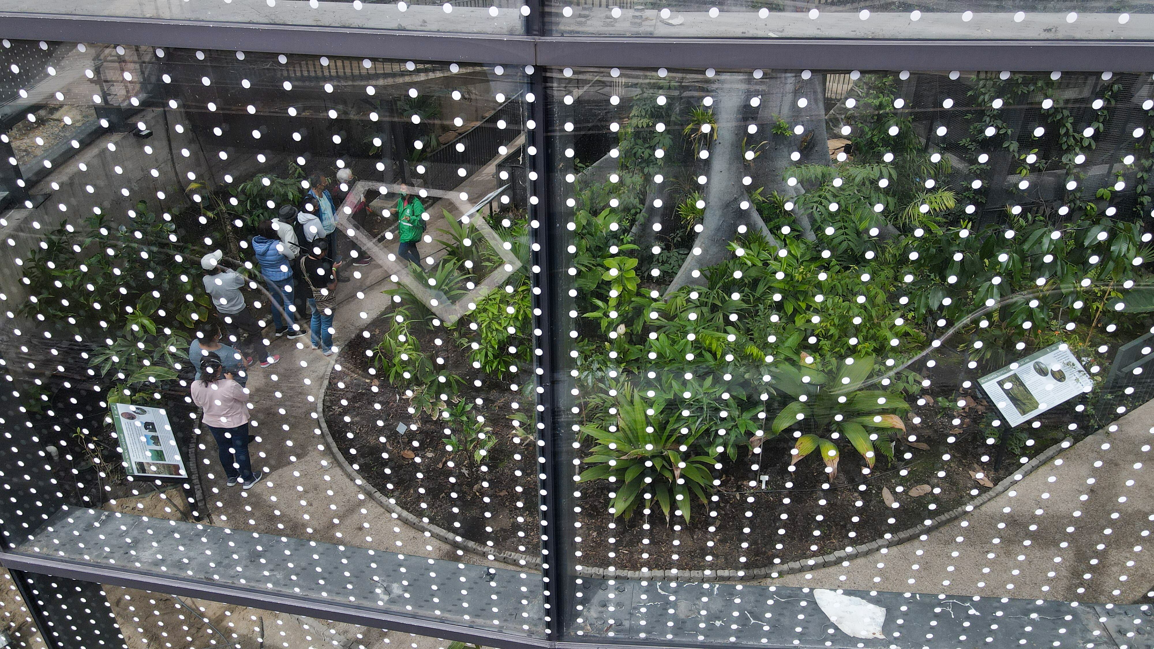 El nuevo tropicario del Jardín Botánico es una gran estructura de vidrio a la que hubo que ponerle stickers especiales en ciertas posiciones para evitar que las aves chocaran.