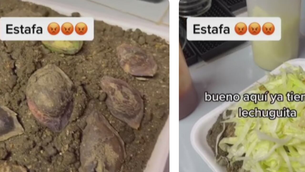 Desde el establecimiento comercial prepararon una falsa salchipapa con tierra para darle una lección al cliente.