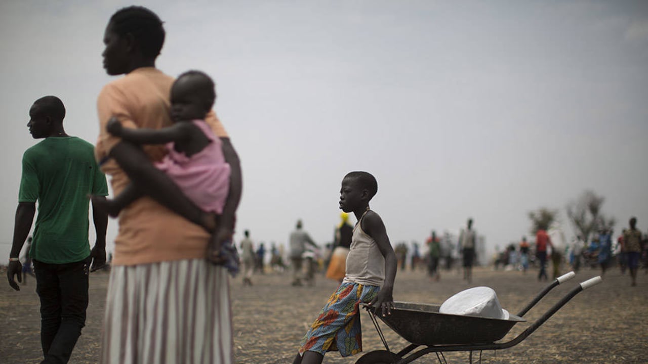 Imagen de referencia.