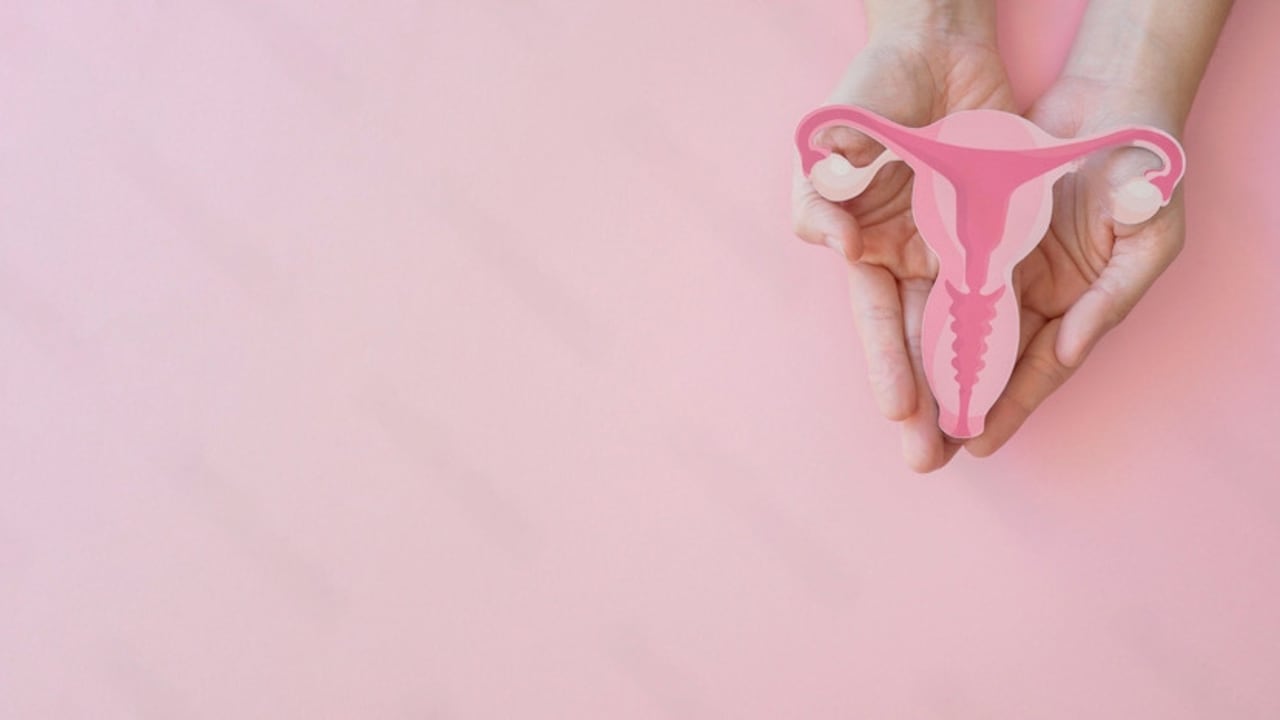 Los cánceres ginecológicos representan cerca del 40 por ciento de todos los casos de cáncer y más del 30 por ciento de las muertes en mujeres por esta enfermedad a nivel mundial.