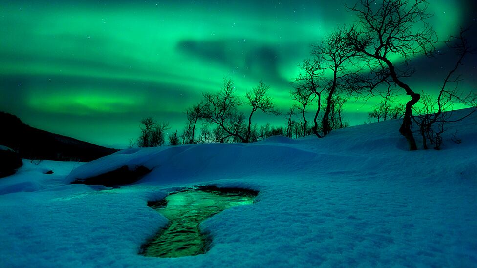 En el concurso participaron fotógrafos profesionales y amateurs de todas partes del mundo. Finalista en la categoría Tierra y Espacio: Mundo Verde, de Arild Heitmann (Noruega)
