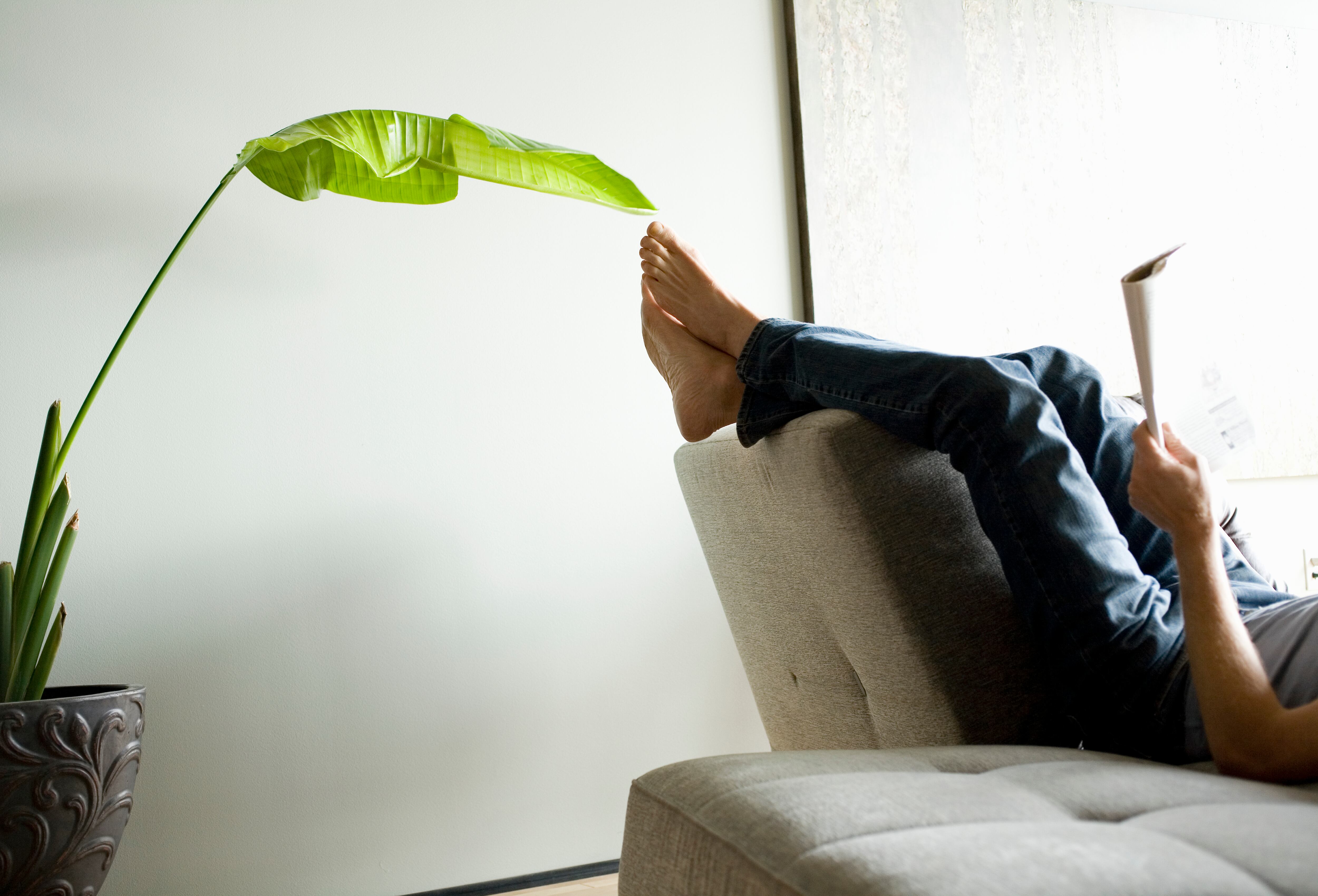 Se pueden elevar las piernas en cualquier superficie por varios minutos para descansar las piernas.