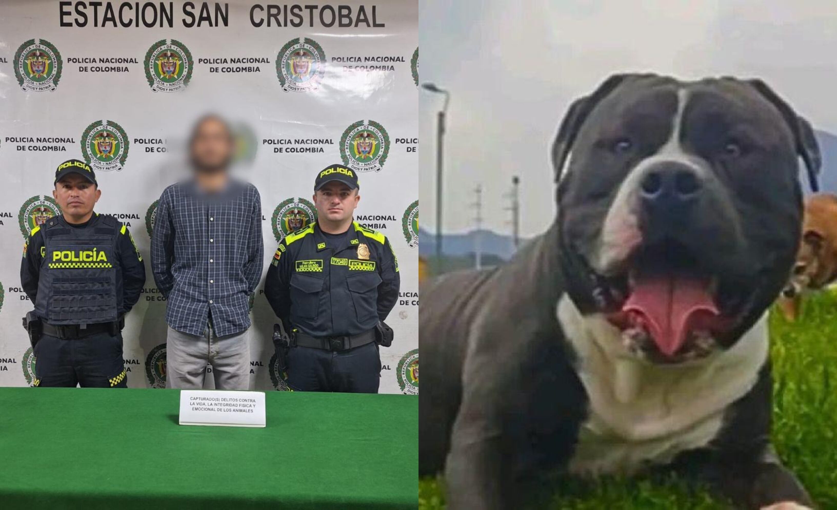 De acuerdo con la denuncia, el sujeto agredió con arma cortopunzante al perro.
