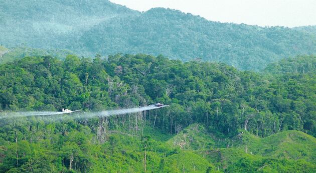¿Colombia regresaría a la aspersión aérea de cultivos ilícitos con glifosato?