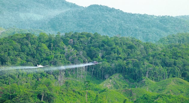 La aspersión aérea con glifosato ha sido una de las principales herramientas del Gobierno Nacional para luchar contra los cultivos ilícitos.