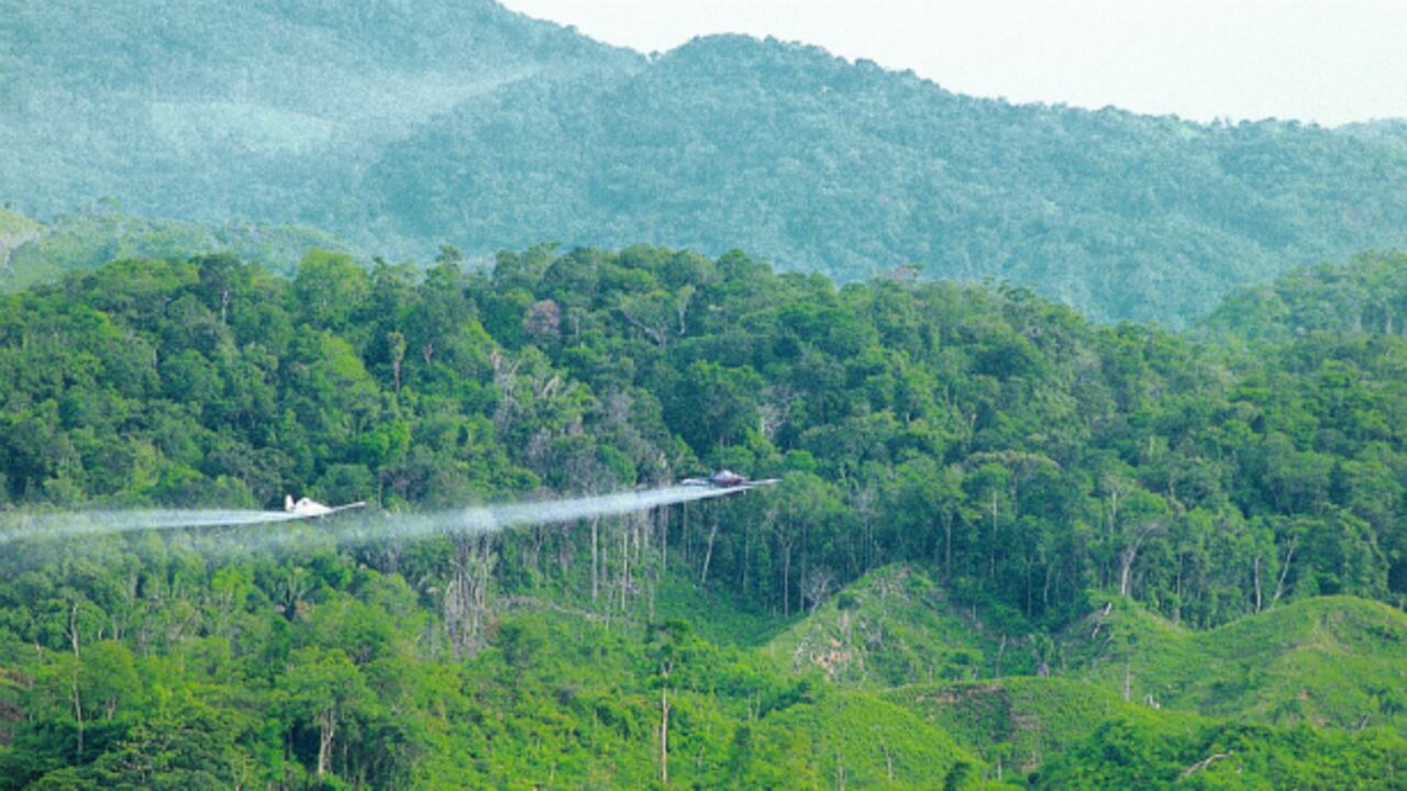 La aspersión aérea con glifosato ha sido una de las principales herramientas del Gobierno Nacional para luchar contra los cultivos ilícitos.