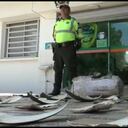 450 aletas de tiburón fueron incautadas en Barranquilla