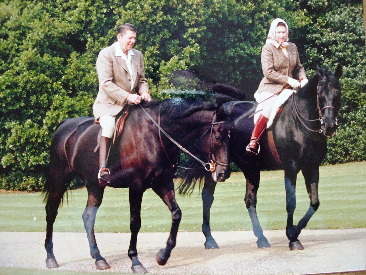 La reina montó a Burmese; y Reagan, a Centennial, durante su cabalgata en el Castillo de Windsor en 1982.