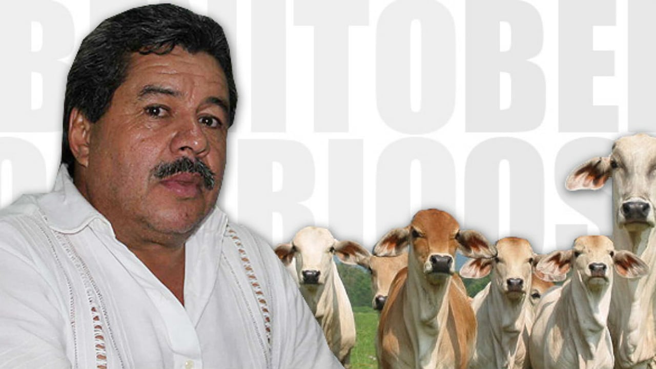 Benito Osorio Villadiego, exgerente del Fondo Ganadero, es procesado por los delitos de concierto para delinquir y lavado de activos.